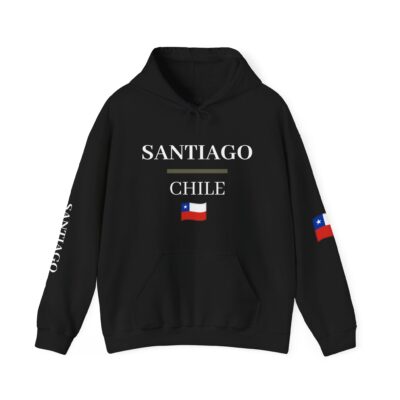 santiago chile hoodie, unisex sweatshirt, travel apparel, gift for travelers, national pride clothing