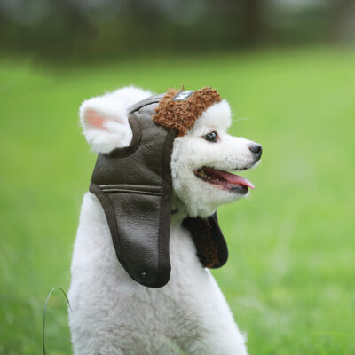 Molanizzi Pet Autumn Winter Accessory
