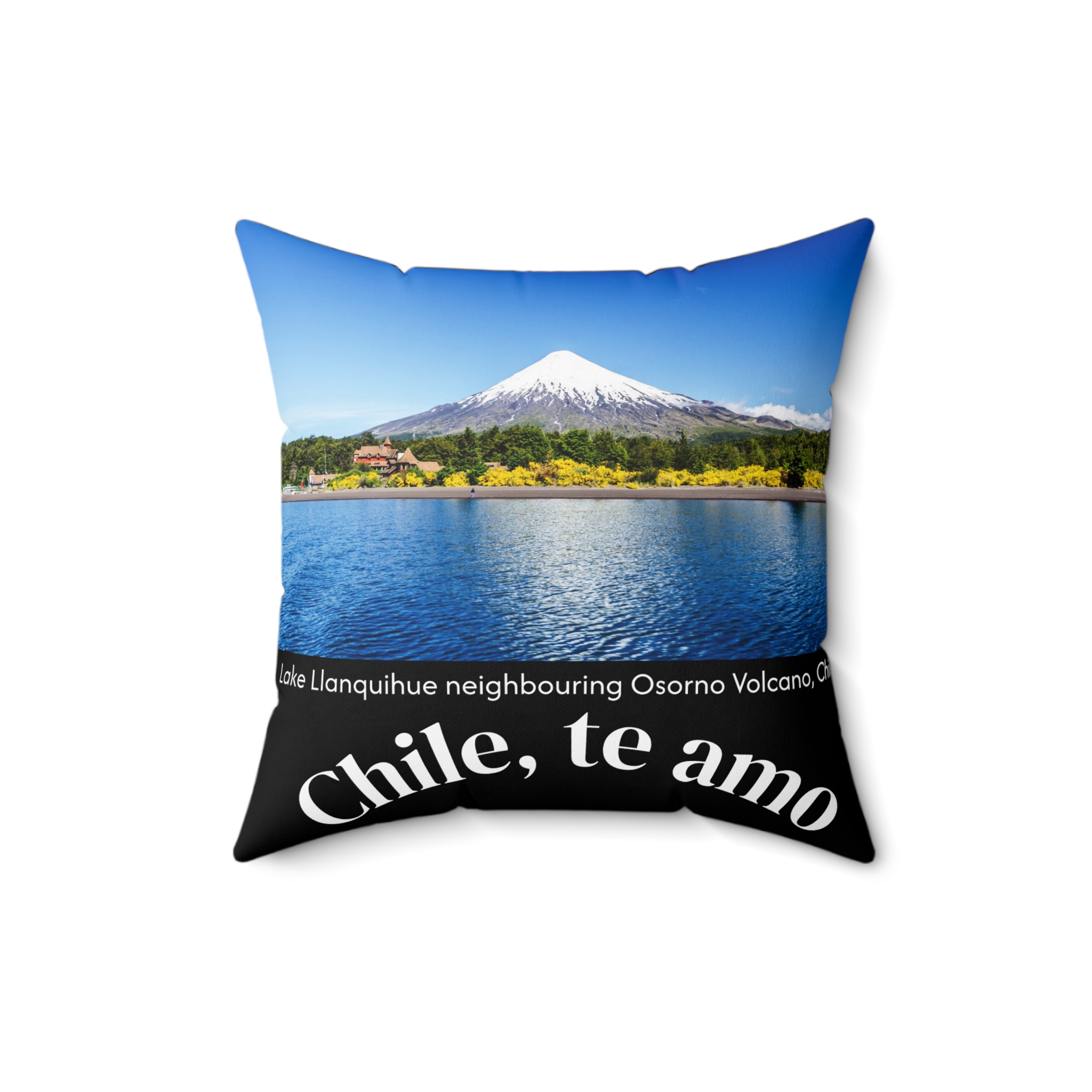 Decorative Couch Cushion Pillow with Chilean Volcano graphics. By Molanizzi
