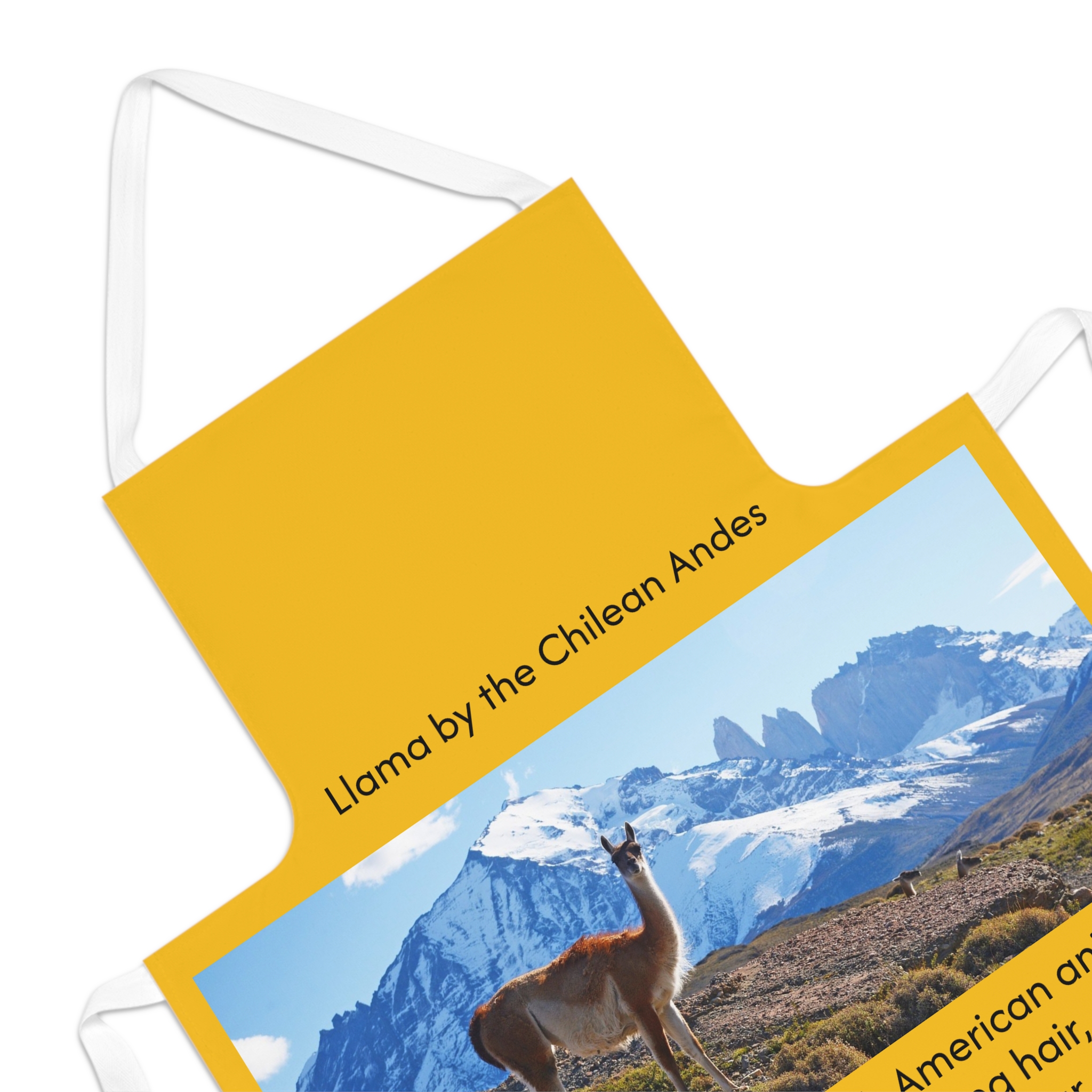 Llama-Inspired Adult Apron, Unique Cooking Accessory - Image 2