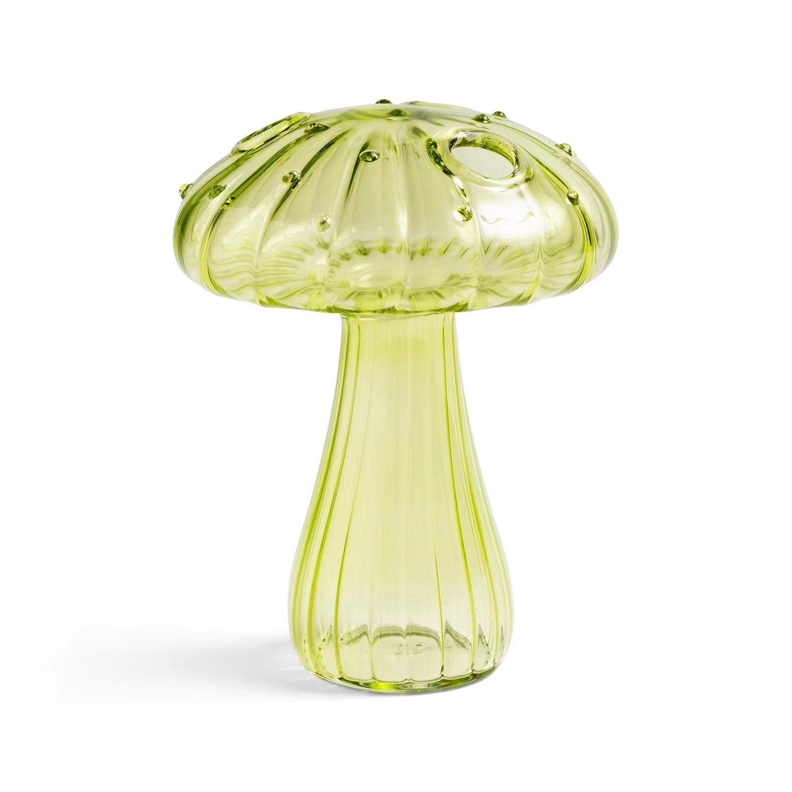 Modern Glass Mushroom Hydroponic Vase & Aromatherapy Diffuser Accent