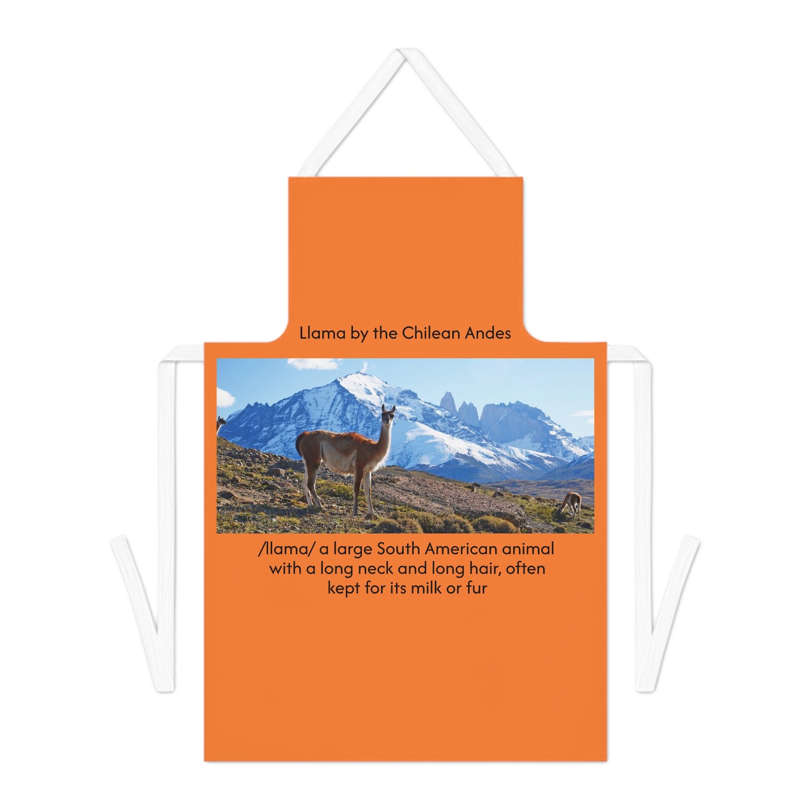Llama Graphics Artisan Adult Kitchen & Craft Apron - Image 2