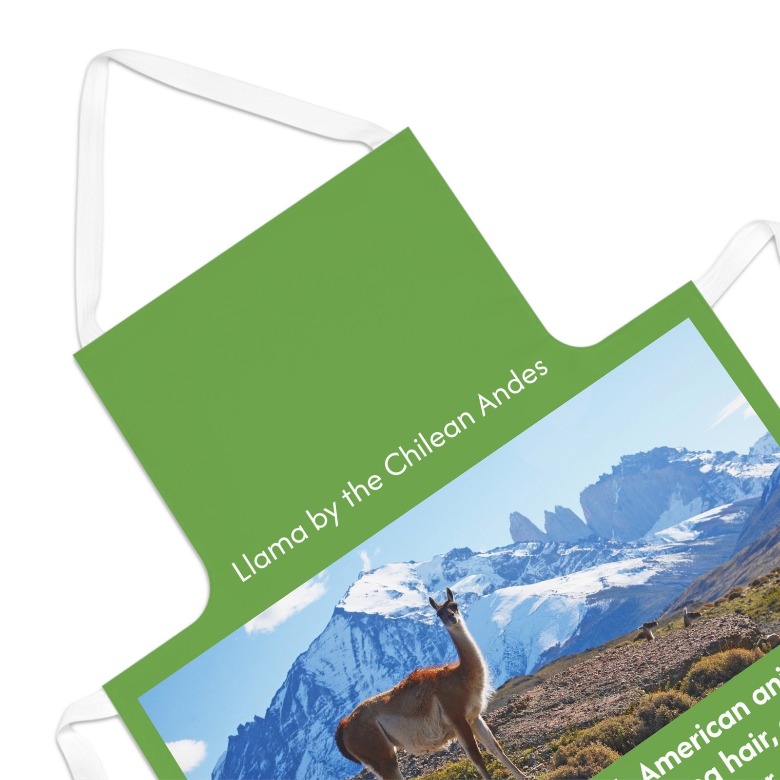 Llama-Inspired Artisan Adult Apron - Image 3