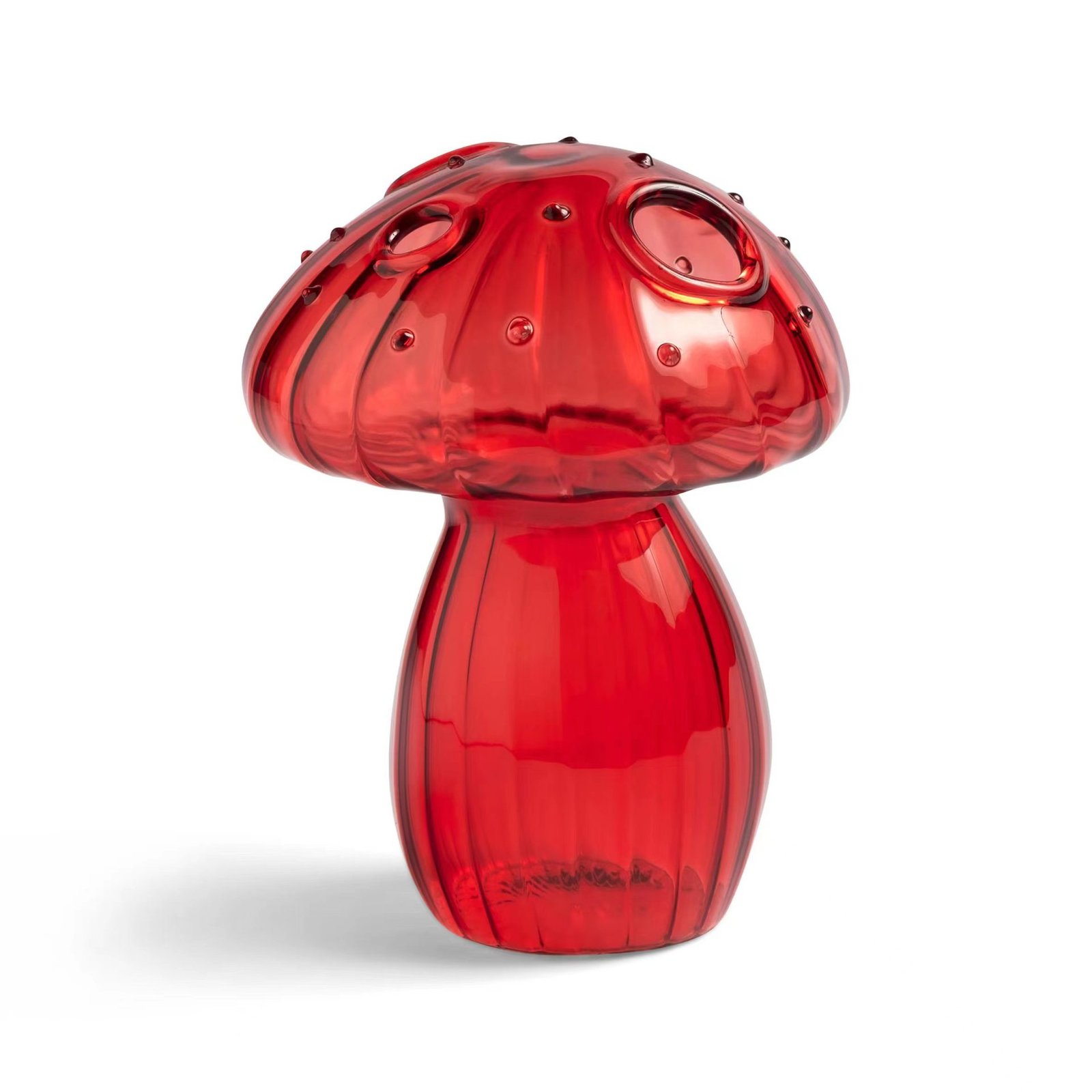 Modern Glass Mushroom Hydroponic Vase & Aromatherapy Diffuser Accent - Image 2